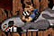 Duke Nukem 3D: Flying Thing